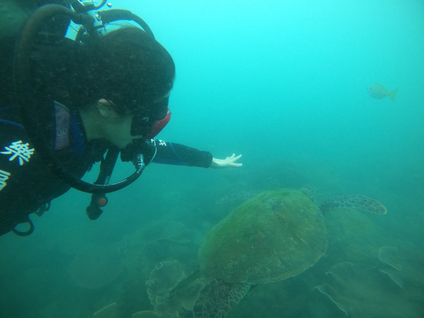 澎湖旅遊-體驗潛水(無證照)